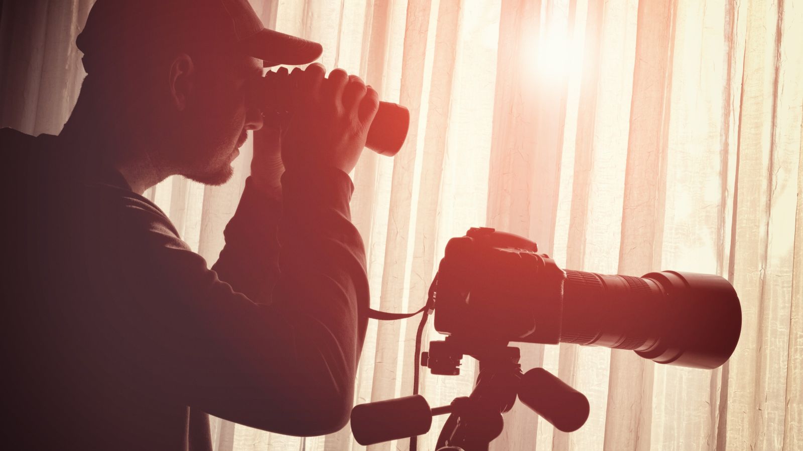 Privacy Policy by AI Visibility Professional